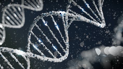 Genetics .